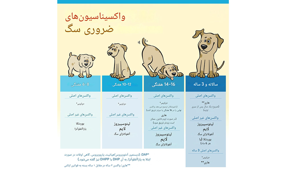 زمانبندی واکسنهای سگ و تولهسگ