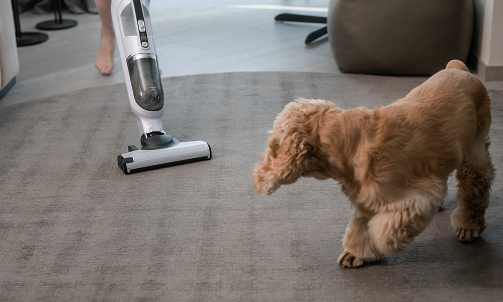 رفتار دم سگ نشانه ترس یا احساس ناامنی