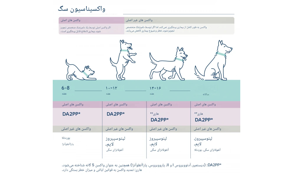 زمان‌بندی واکسن‌های سگ و توله‌سگ