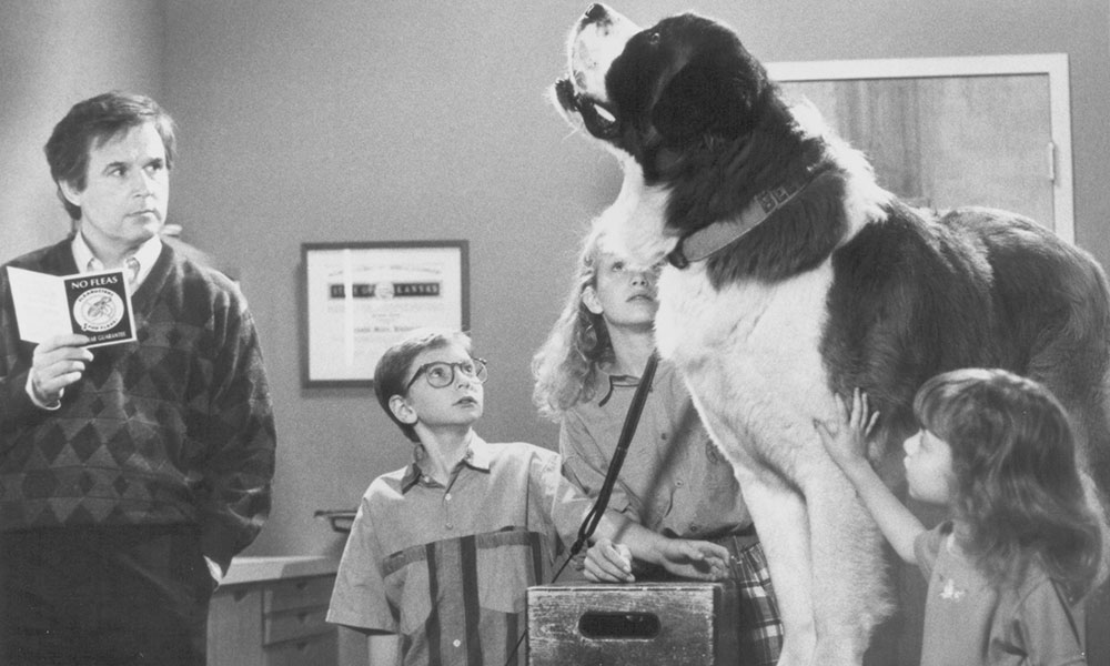 فیلم درباره سگ، فیلم، فیلم سگ، انیمیشن سگ، سریال سگ های شکاری