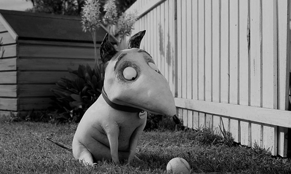 فیلم درباره سگ فیلم فیلم سگ انیمیشن سگ سریال سگ های شکاری