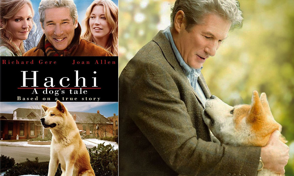 فیلم درباره سگ