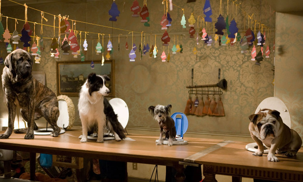 فیلم درباره سگ، فیلم، فیلم سگ، انیمیشن سگ، سریال سگ های شکاری