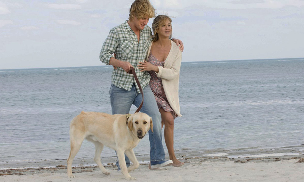 فیلم درباره سگ، فیلم، فیلم سگ، انیمیشن سگ، سریال سگ های شکاری