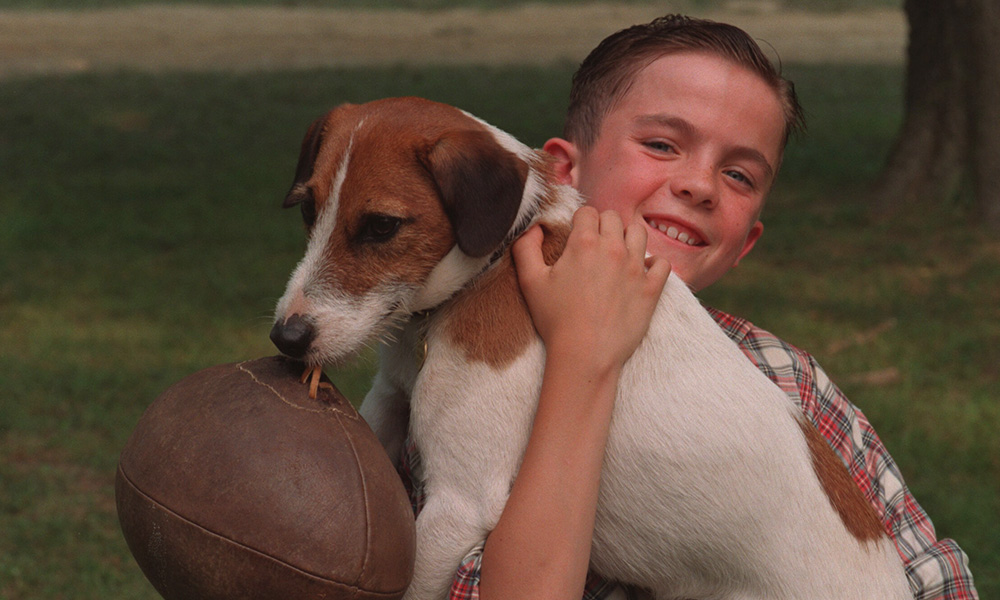 فیلم درباره سگ، فیلم، فیلم سگ، انیمیشن سگ، سریال سگ های شکاری