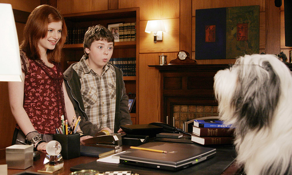 فیلم درباره سگ، فیلم، فیلم سگ، انیمیشن سگ، سریال سگ های شکاری