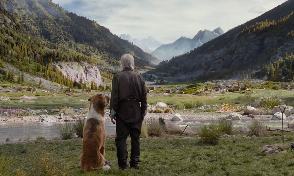 فیلم درباره سگ فیلم فیلم سگ انیمیشن سگ سریال سگ های شکاری