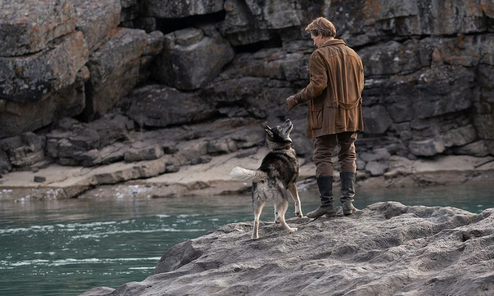 فیلم درباره سگ، فیلم، فیلم سگ، انیمیشن سگ، سریال سگ های شکاری