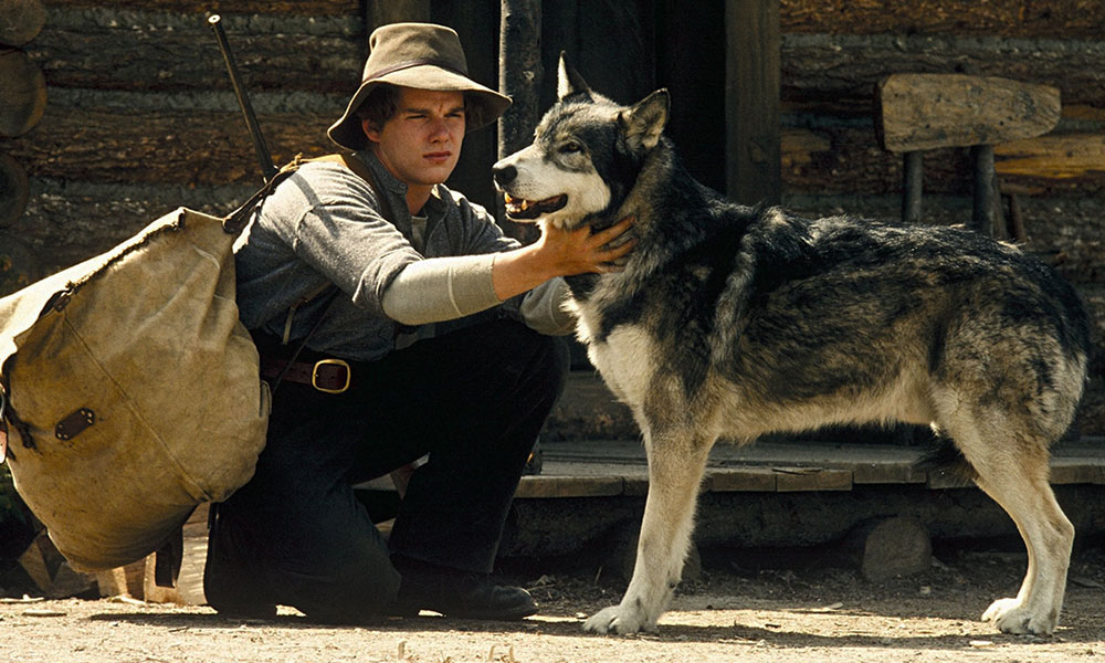 فیلم درباره سگ، فیلم، فیلم سگ، انیمیشن سگ، سریال سگ های شکاری