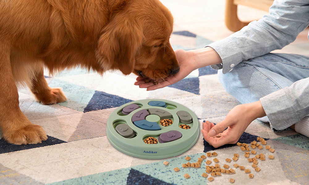 آموزش بازی سگ با تشویقی