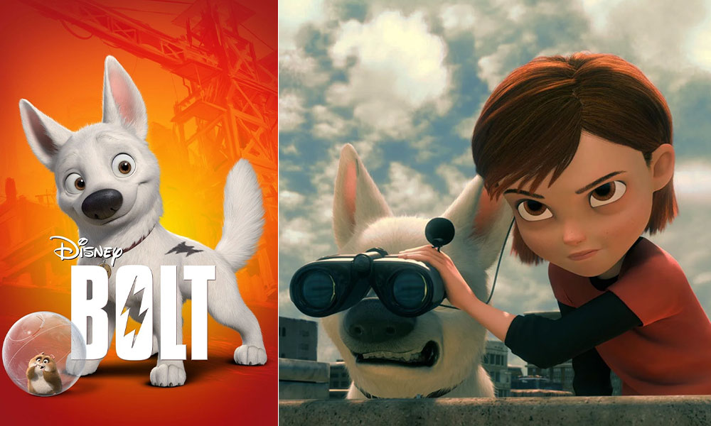 فیلم درباره سگ فیلم فیلم سگ انیمیشن سگ سریال سگ های شکاری