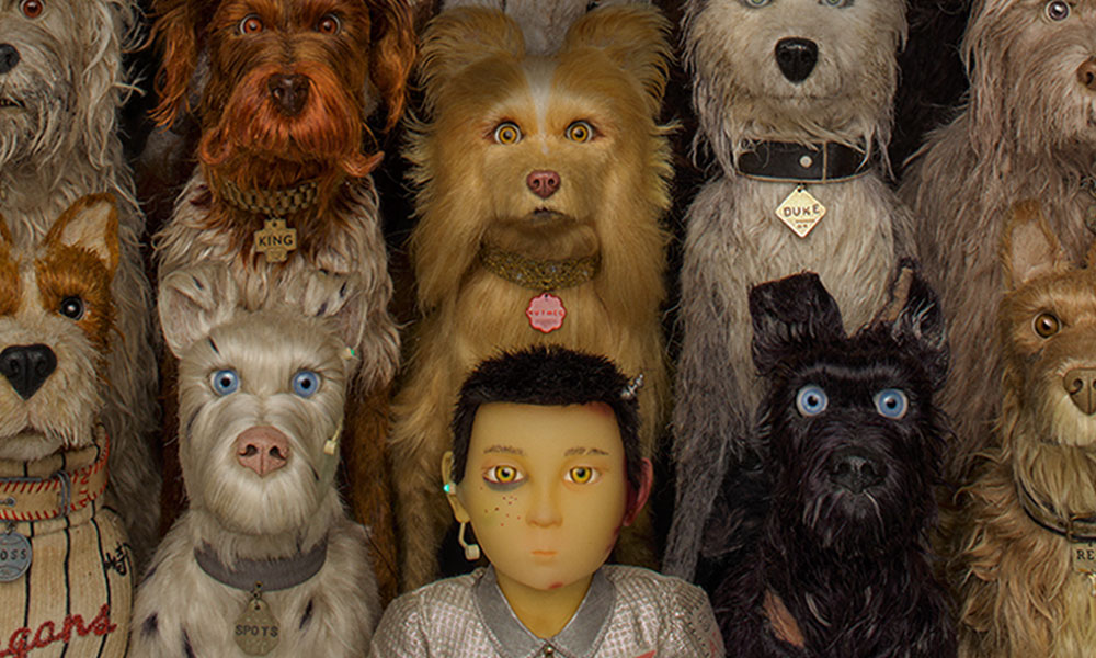 فیلم درباره سگ فیلم فیلم سگ انیمیشن سگ سریال سگ های شکاری