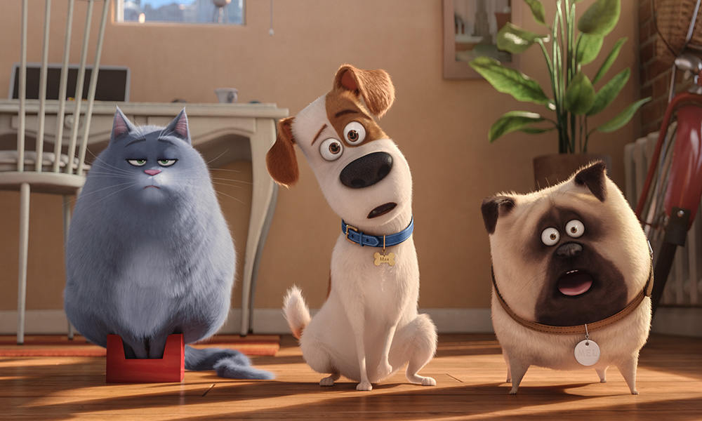 فیلم درباره سگ، فیلم، فیلم سگ، انیمیشن سگ، سریال سگ های شکاری