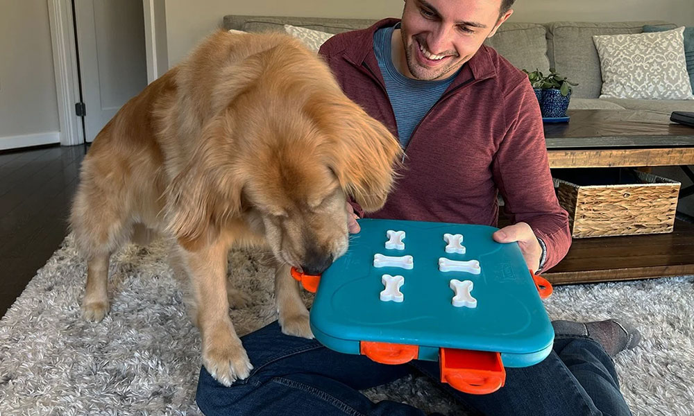 آموزش بازی سگ با تشویقی