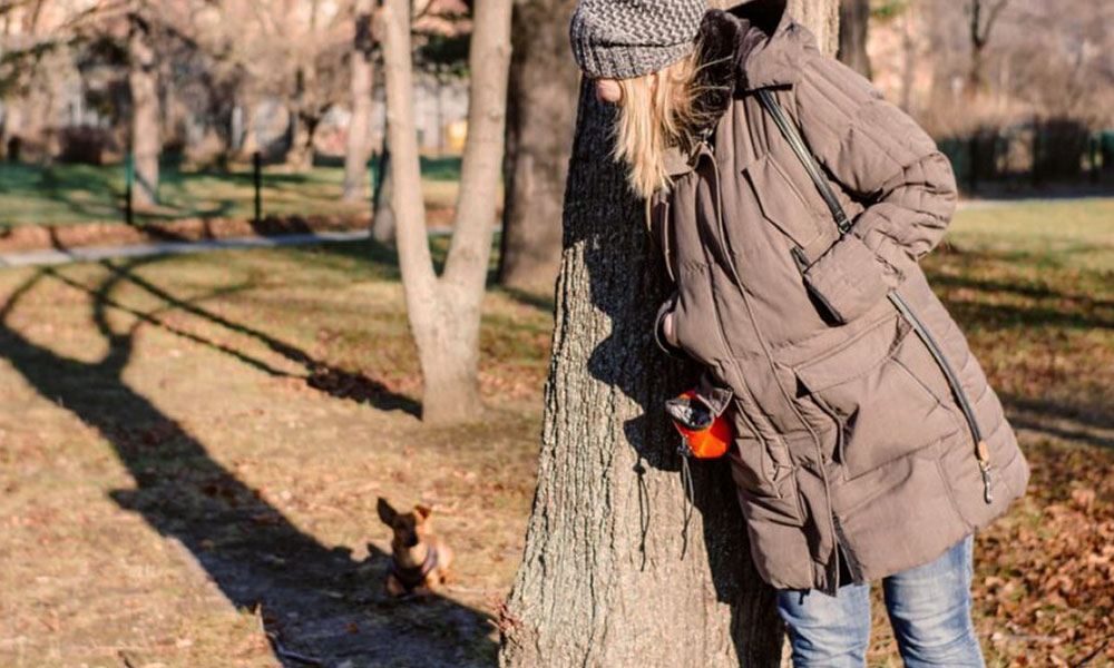 آموزش بازی سگ با تشویقی بازی قایم موشک با سگ