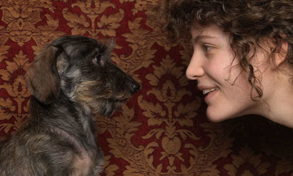 تلاش صاحب سگ برای فهمیدن رفتار سگ زل زدن سگ