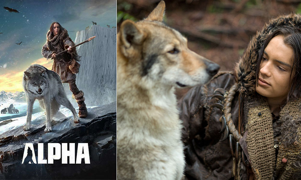 فیلم درباره سگ فیلم فیلم سگ انیمیشن سگ سریال سگ های شکاری