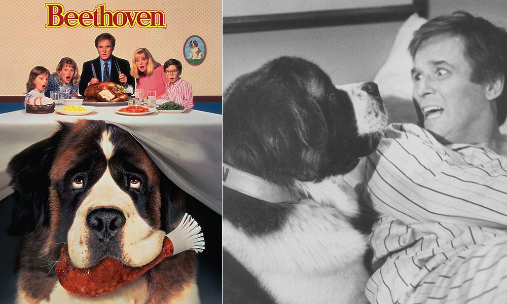 فیلم درباره سگ، فیلم، فیلم سگ، انیمیشن سگ، سریال سگ های شکاری