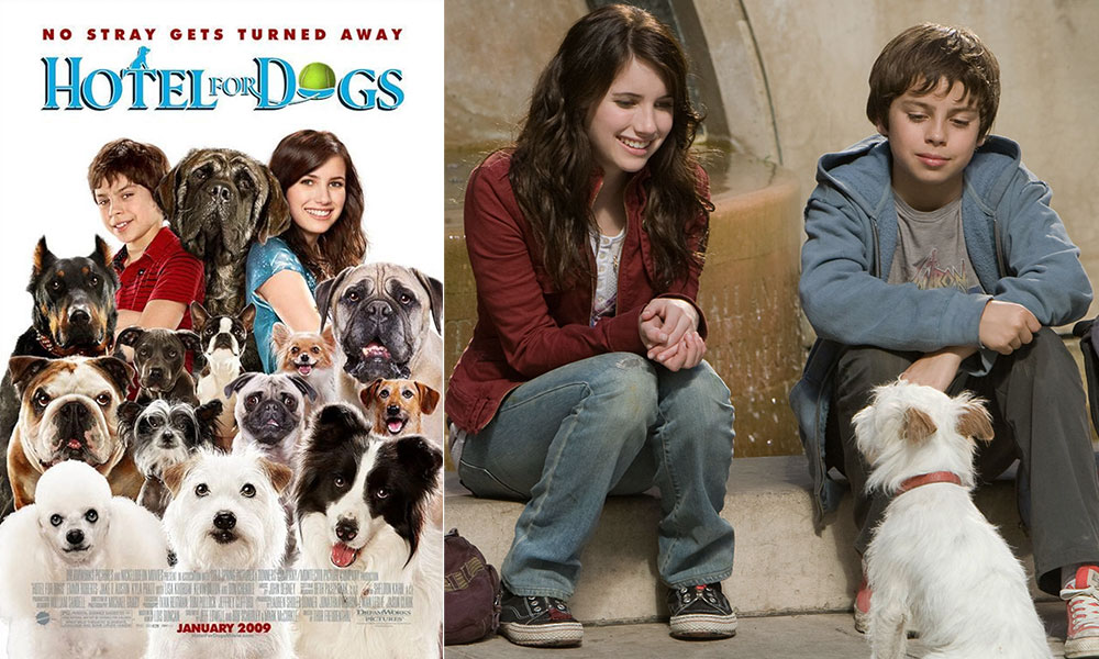 فیلم درباره سگ، فیلم، فیلم سگ، انیمیشن سگ، سریال سگ های شکاری