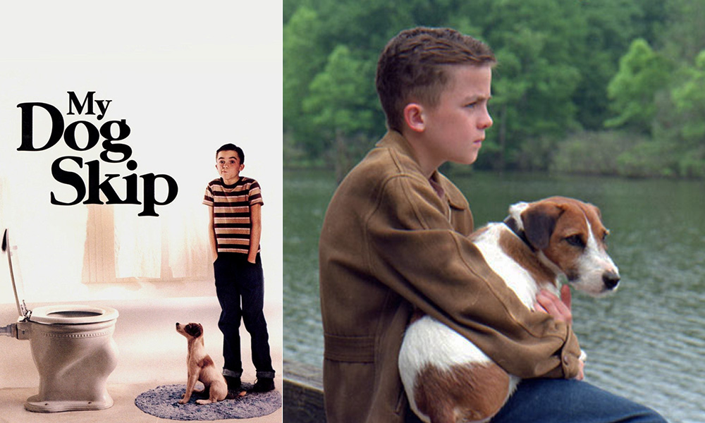 فیلم درباره سگ، فیلم، فیلم سگ، انیمیشن سگ، سریال سگ های شکاری