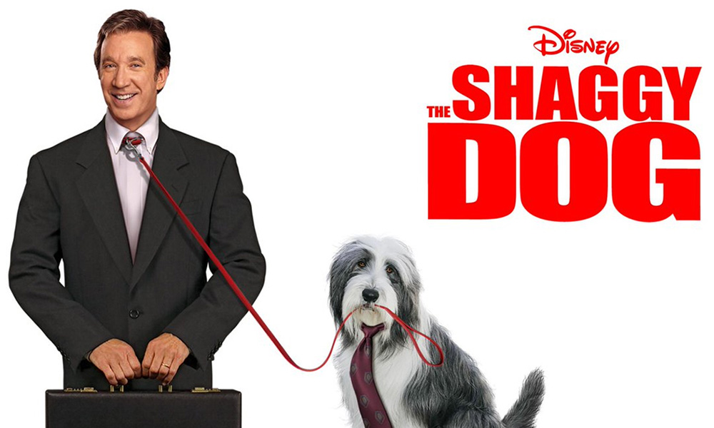 فیلم درباره سگ، فیلم، فیلم سگ، انیمیشن سگ، سریال سگ های شکاری