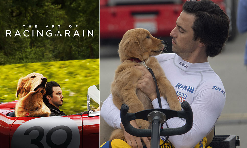 فیلم درباره سگ، فیلم، فیلم سگ، انیمیشن سگ، سریال سگ های شکاری