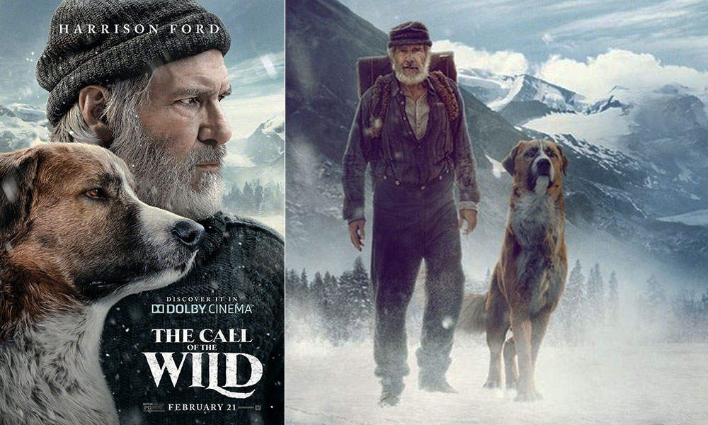 فیلم درباره سگ فیلم فیلم سگ انیمیشن سگ سریال سگ های شکاری