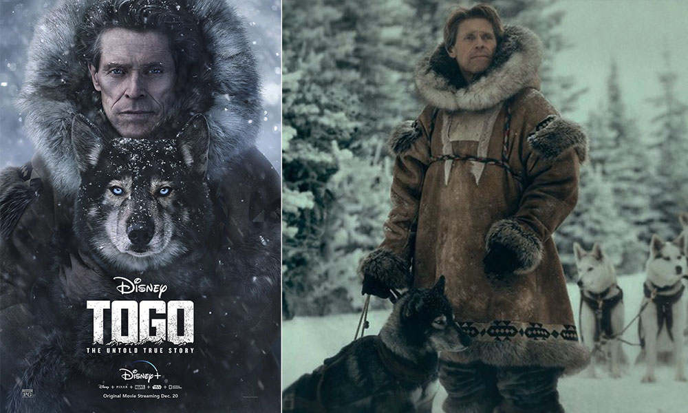 فیلم درباره سگ، فیلم، فیلم سگ، انیمیشن سگ، سریال سگ های شکاری