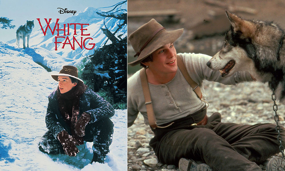 فیلم درباره سگ، فیلم، فیلم سگ، انیمیشن سگ، سریال سگ های شکاری